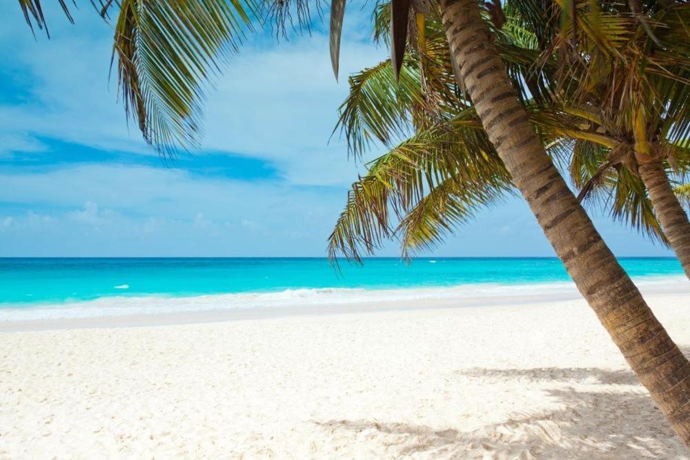 All Season Paradise In Cortez 브레던톤 외부 사진